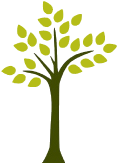 un arbre et ses feuilles